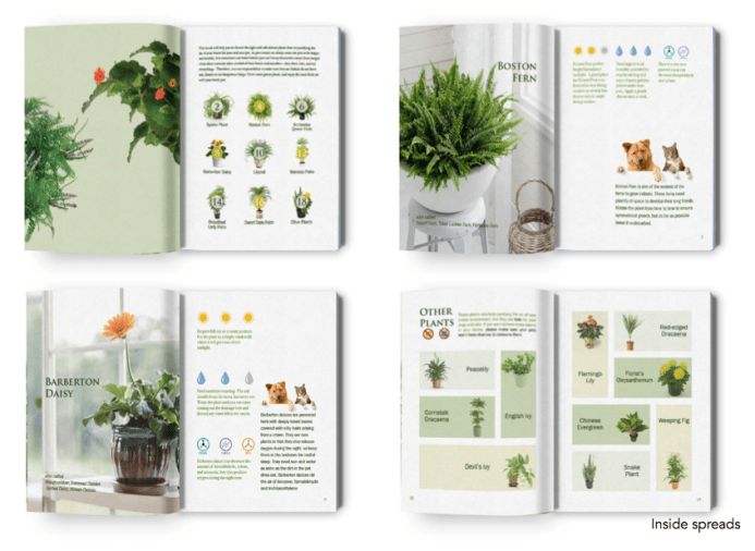 螢幕快照 2019-03-04 下午9.10.02